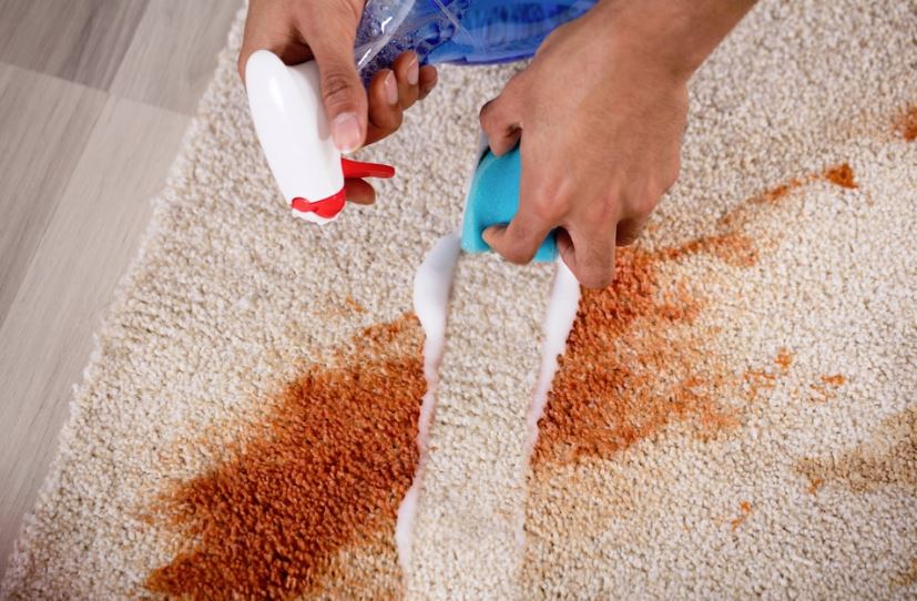 cómo lavar una alfombra con exito
