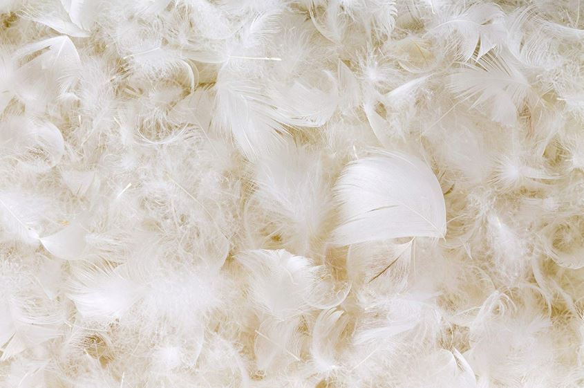 edredón de plumas malo para la salud
