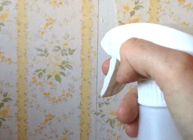 spray para quitar papel de la pared