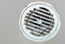 Cómo eliminar los pelos del desagüe de la ducha eliminar pelos del desagüe