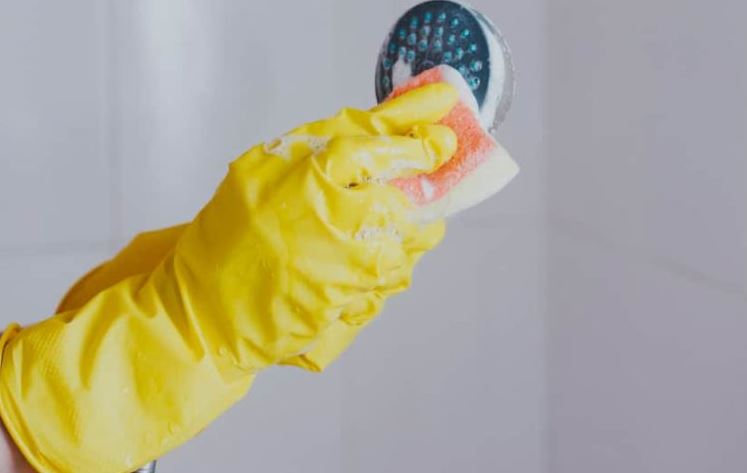 desinfectar regadera de ducha