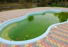 Cómo limpiar una piscina con agua verde limpiar una piscina con agua verde