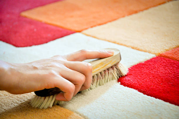 limpiar carpeta en seco